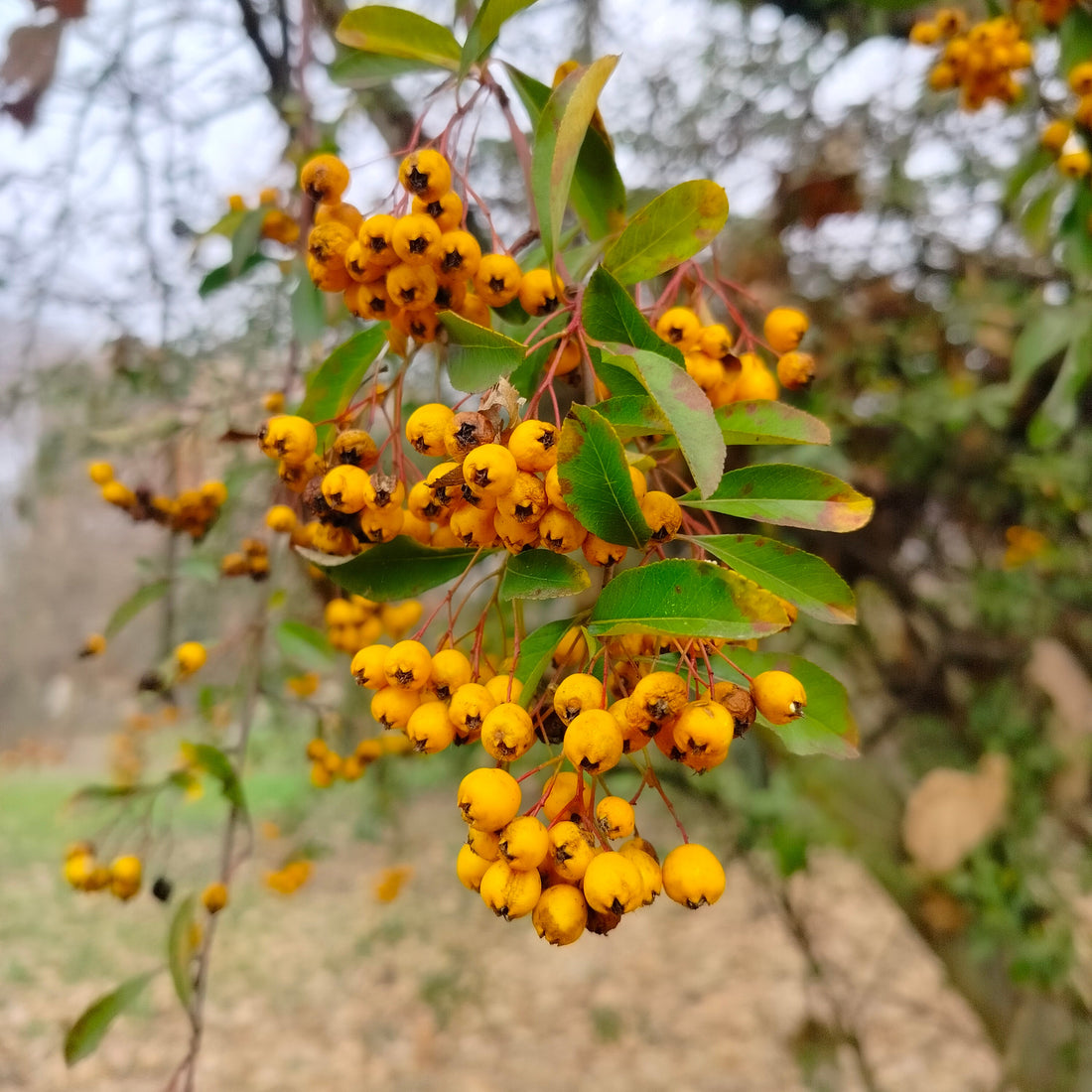Come farsi ispirare dalla natura