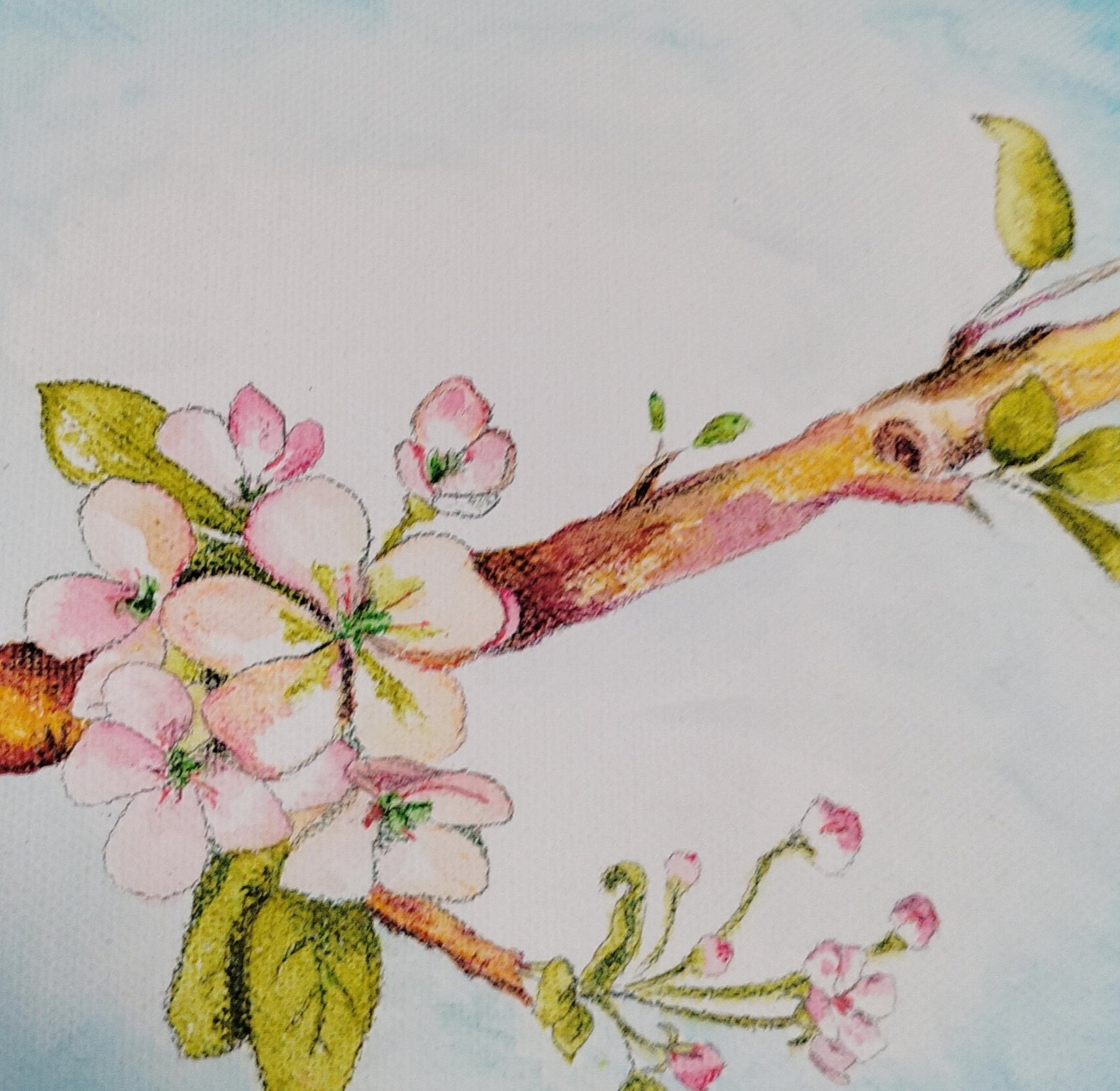 Quadro Apple blossom