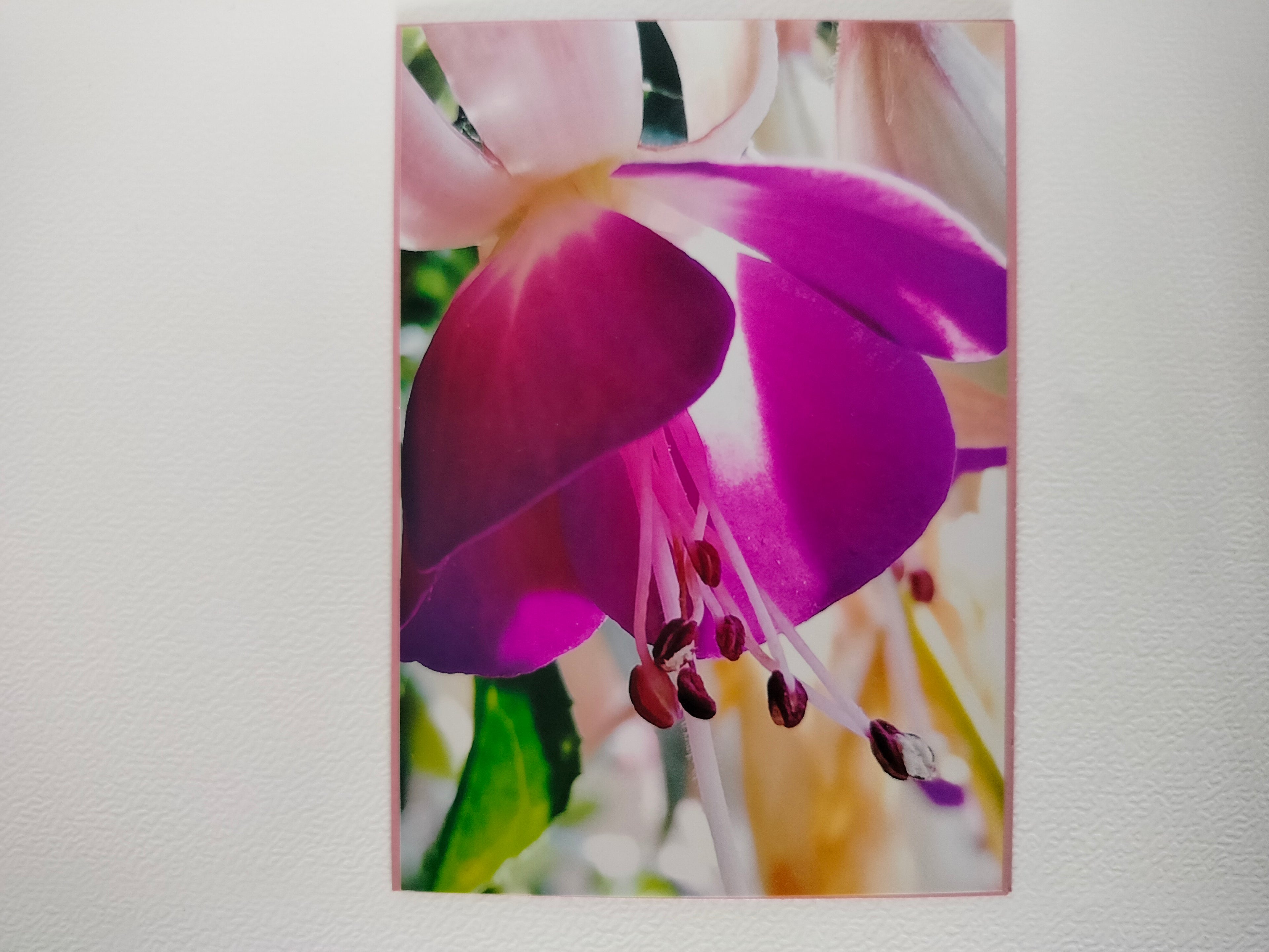 Biglietto auguri campanella viola