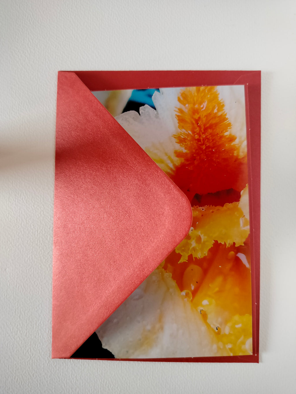 Biglietto auguri fiore toni pesca