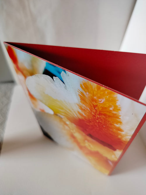 Biglietto auguri fiore toni pesca