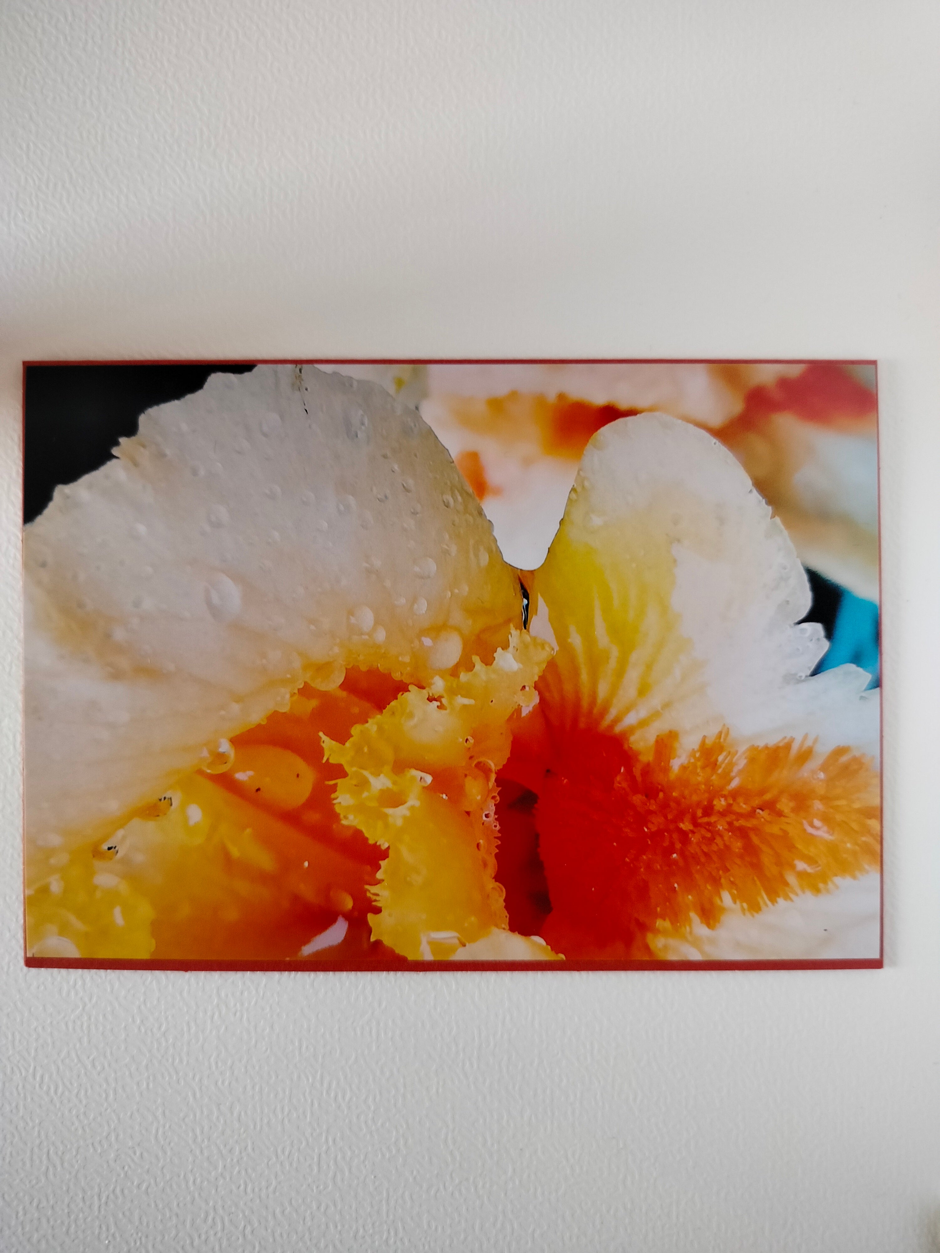 Biglietto auguri fiore toni pesca