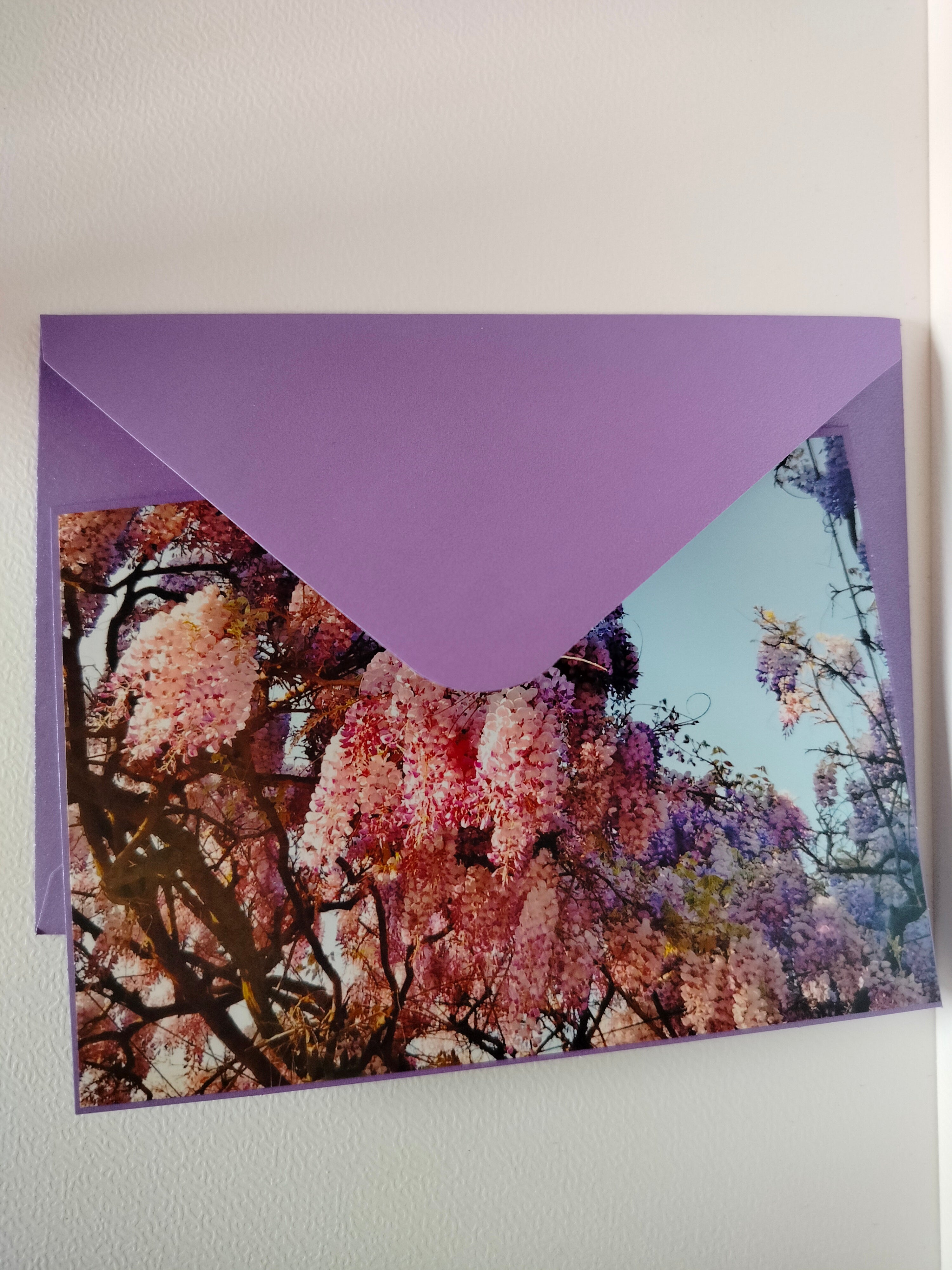 Biglietto auguri glicine