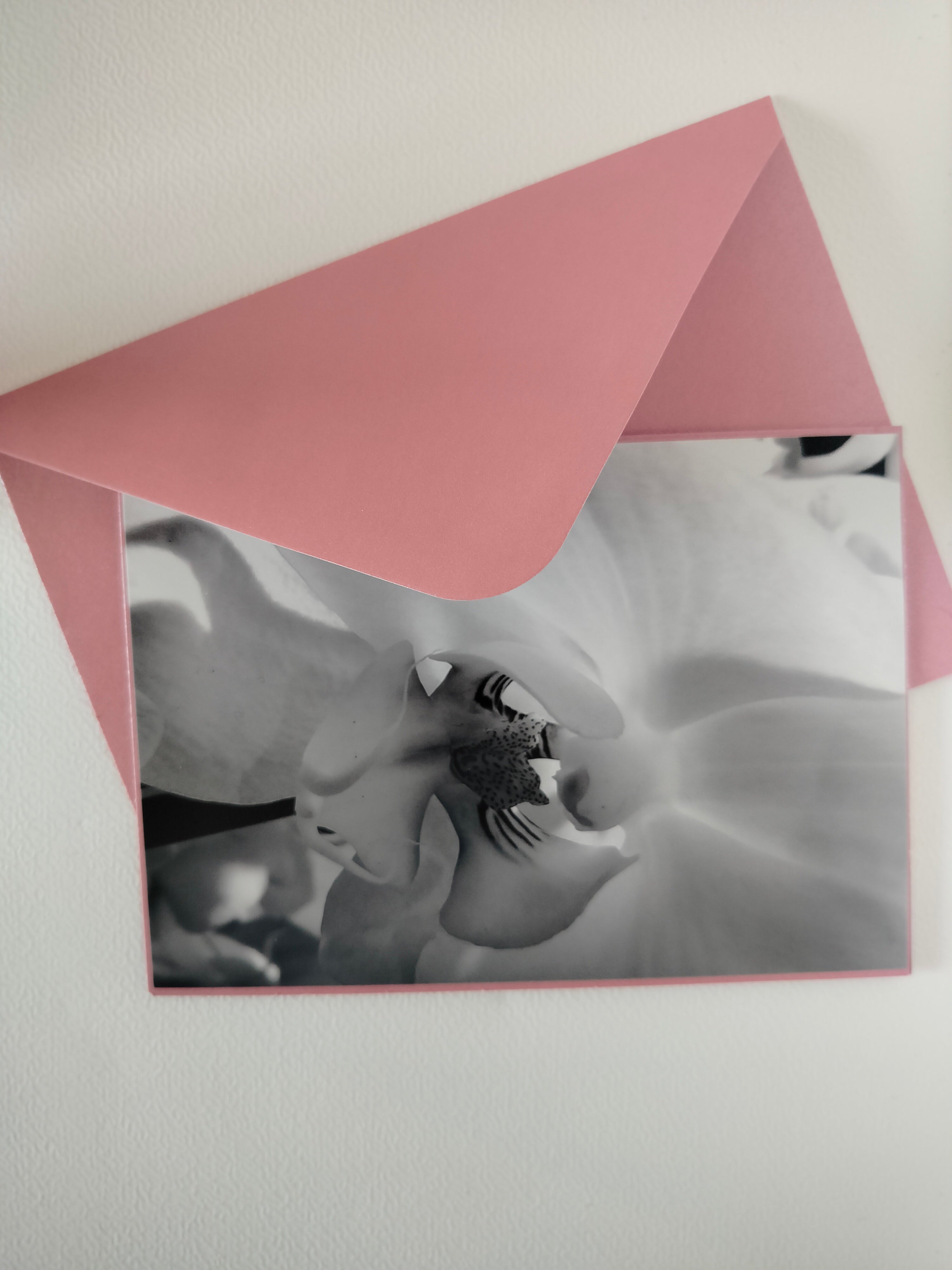 Biglietto auguri orchidea