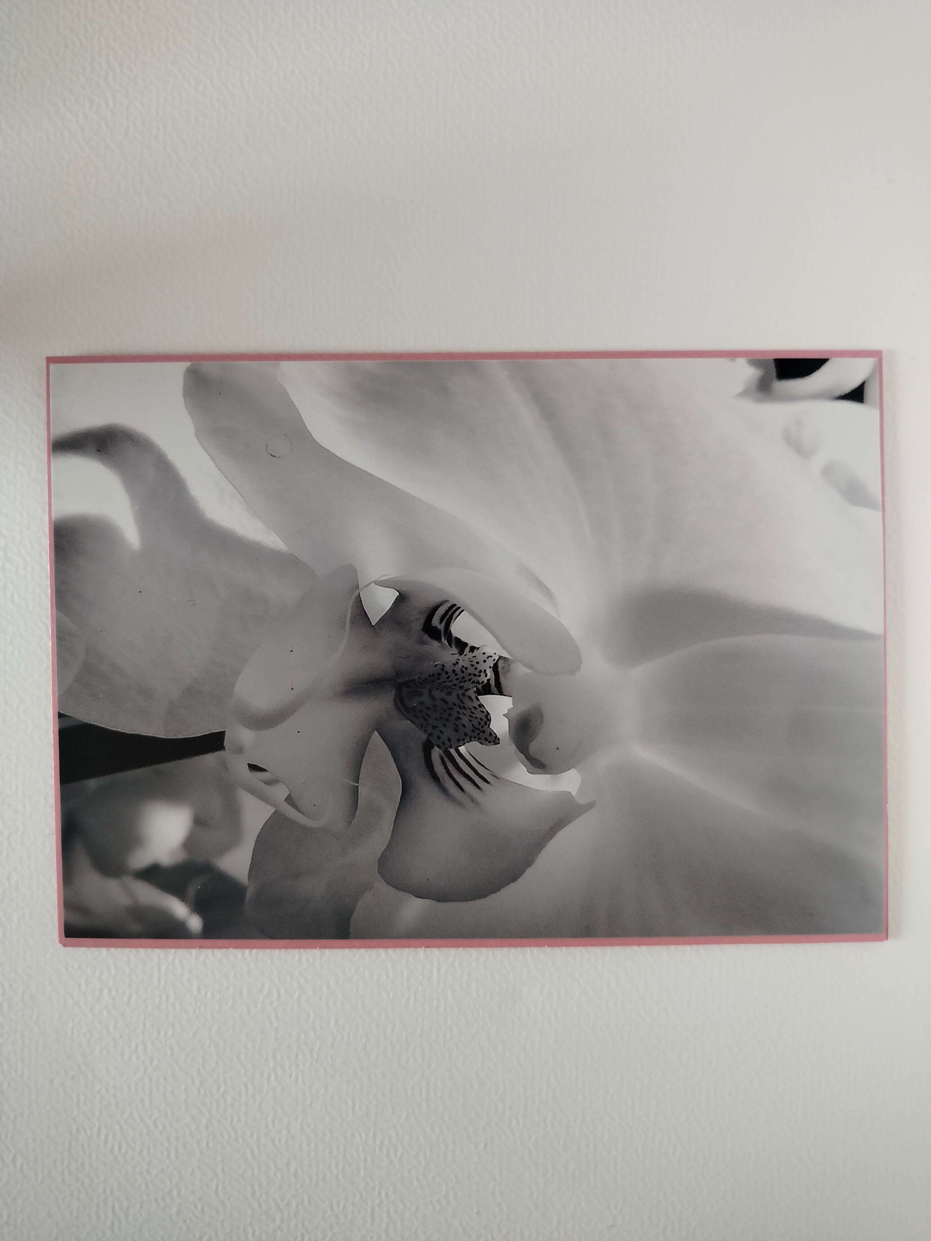 Biglietto auguri orchidea