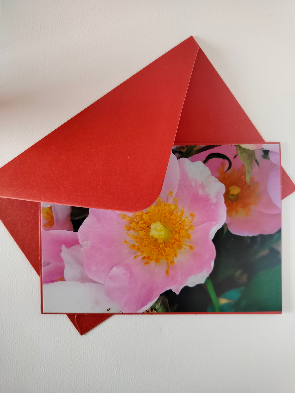 Biglietto auguri peonia