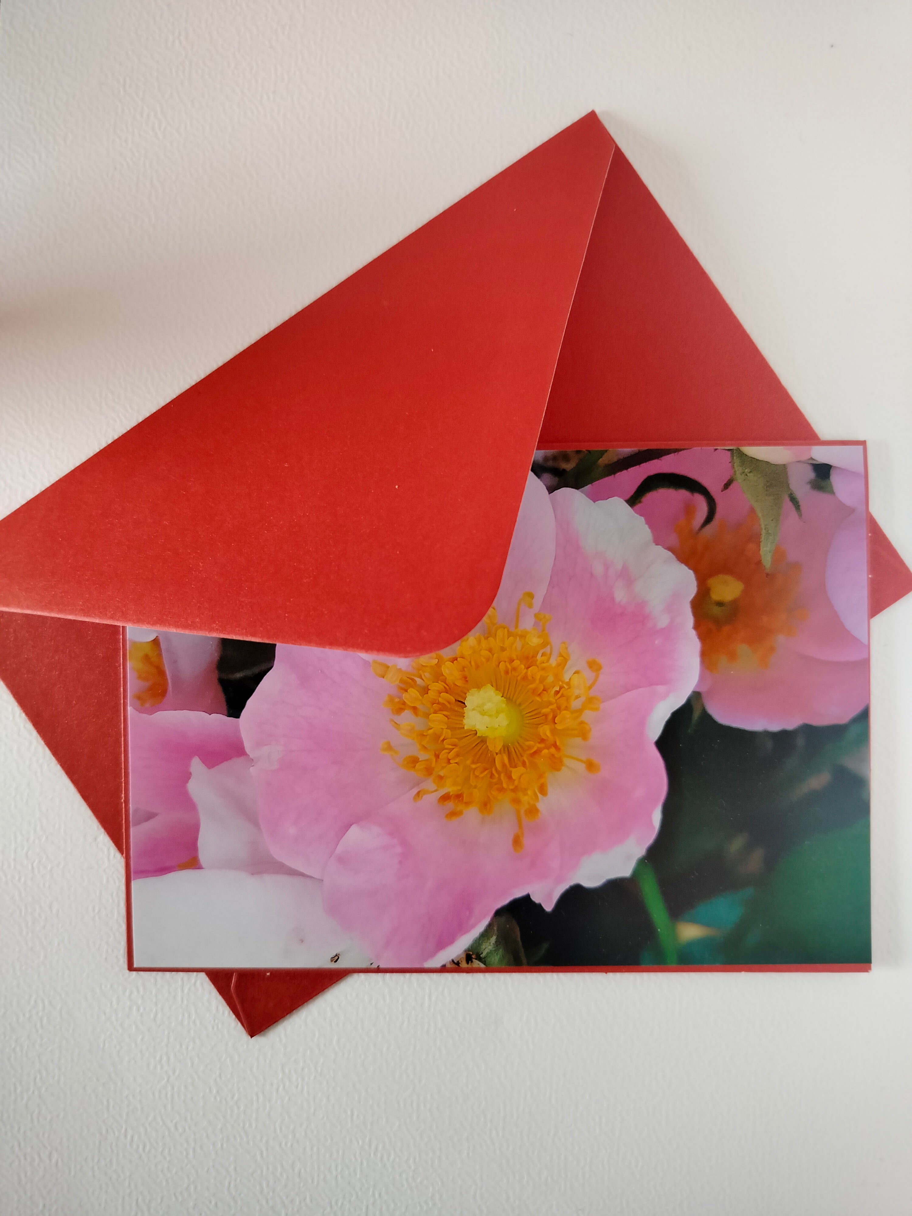 Biglietto auguri peonia