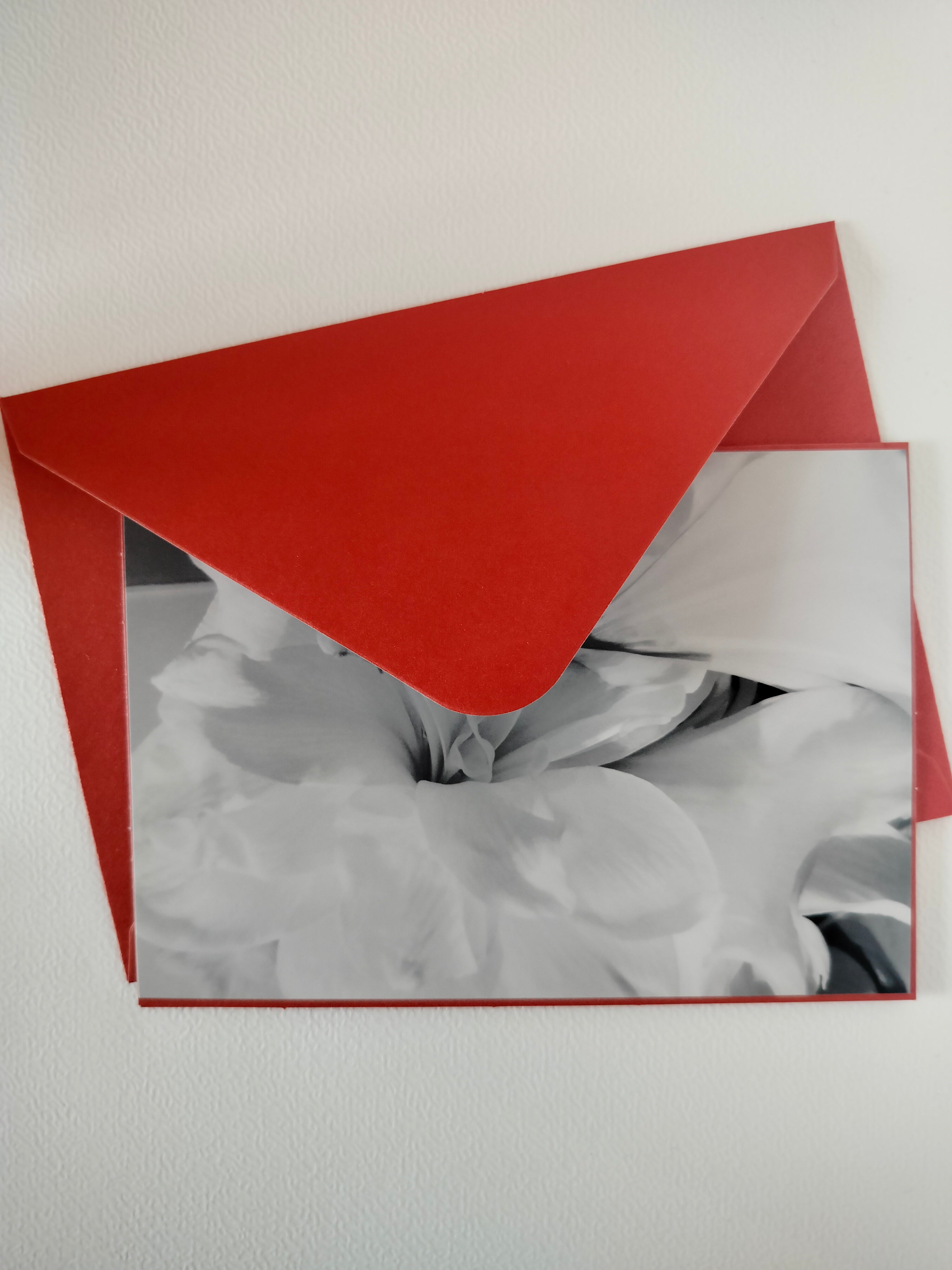 Biglietto auguri peonia bn