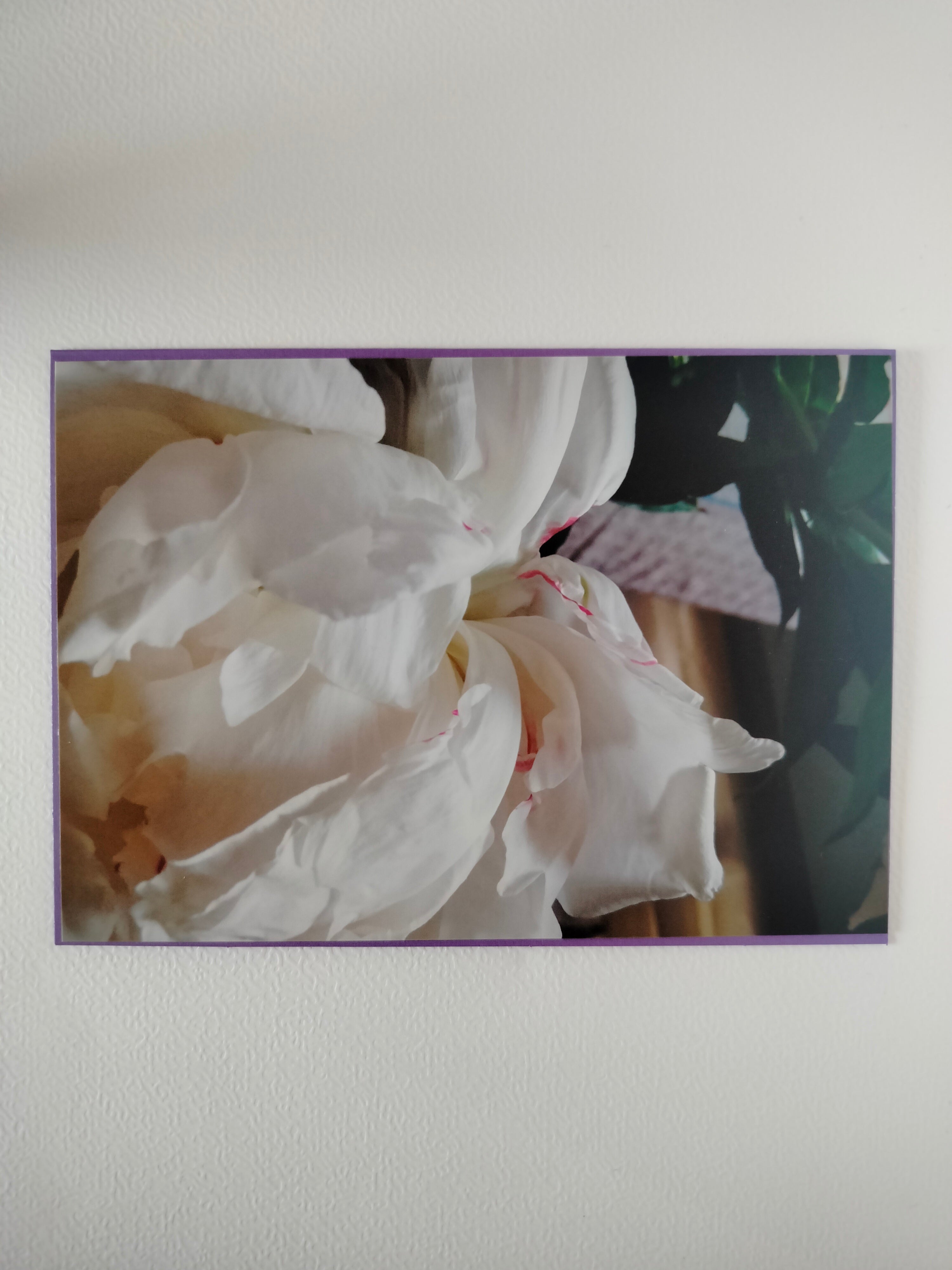 Biglietto auguri softness