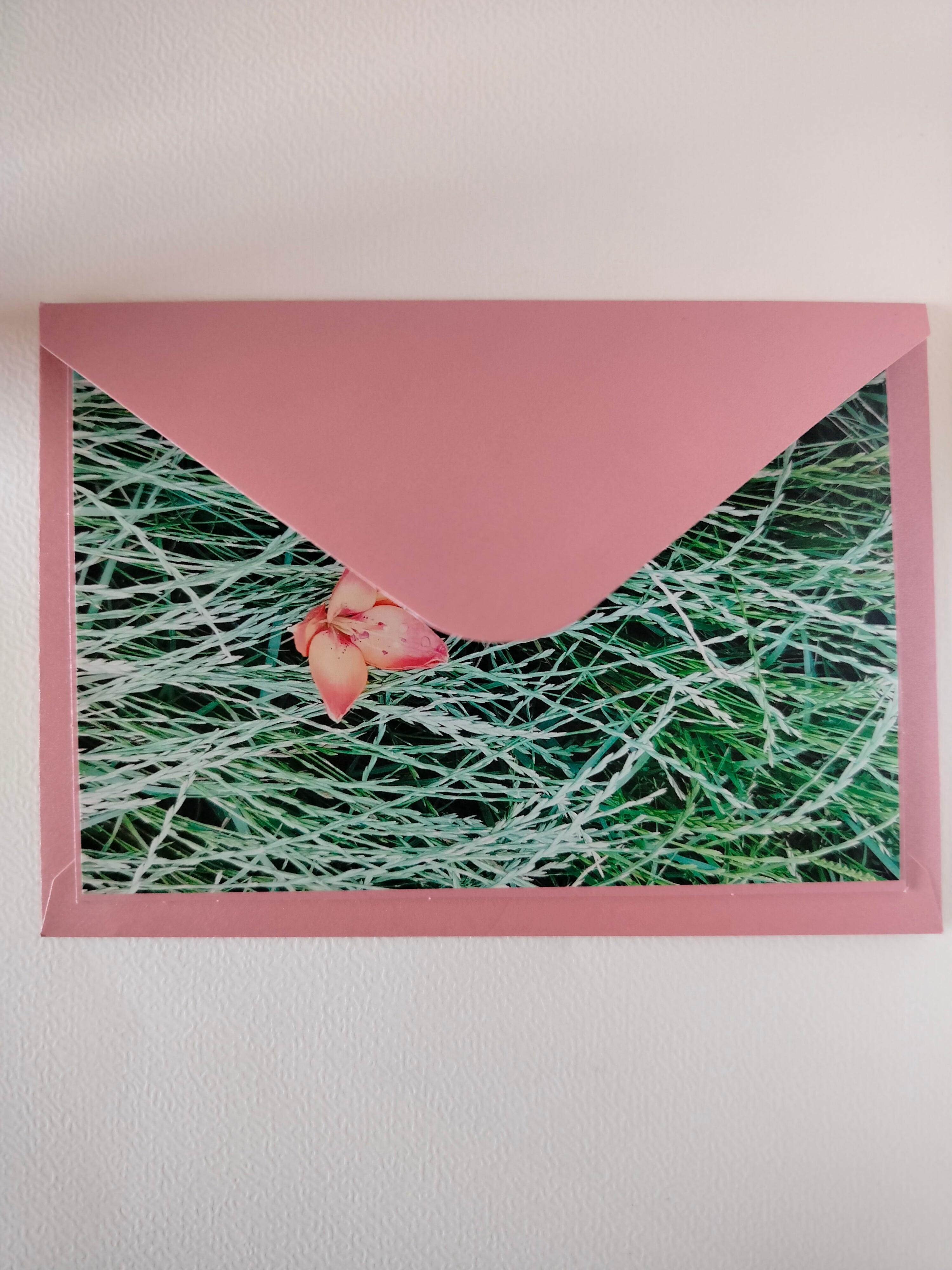 Biglietto auguri fiore nei campi