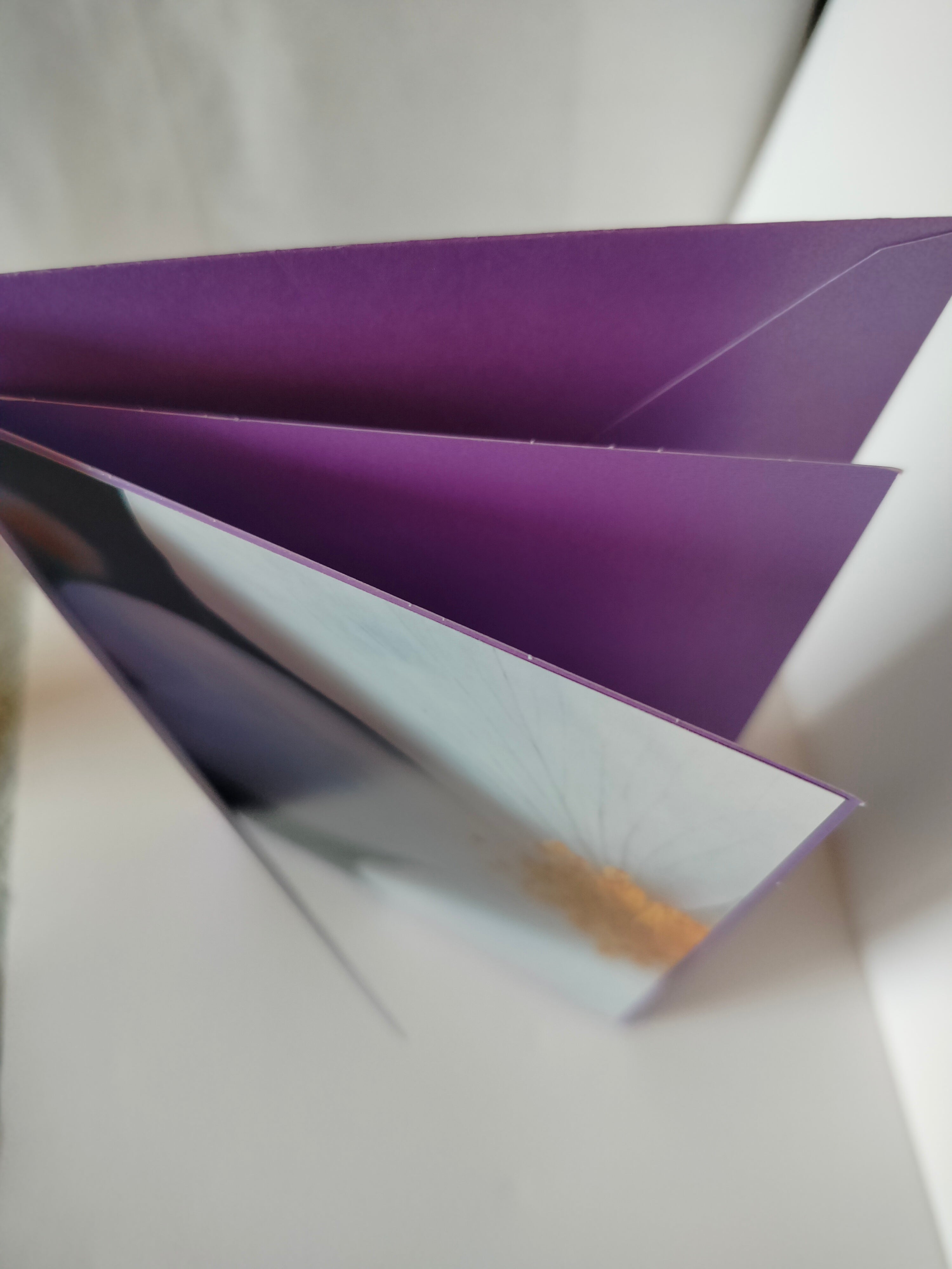 Biglietto auguri fiore white&yellow