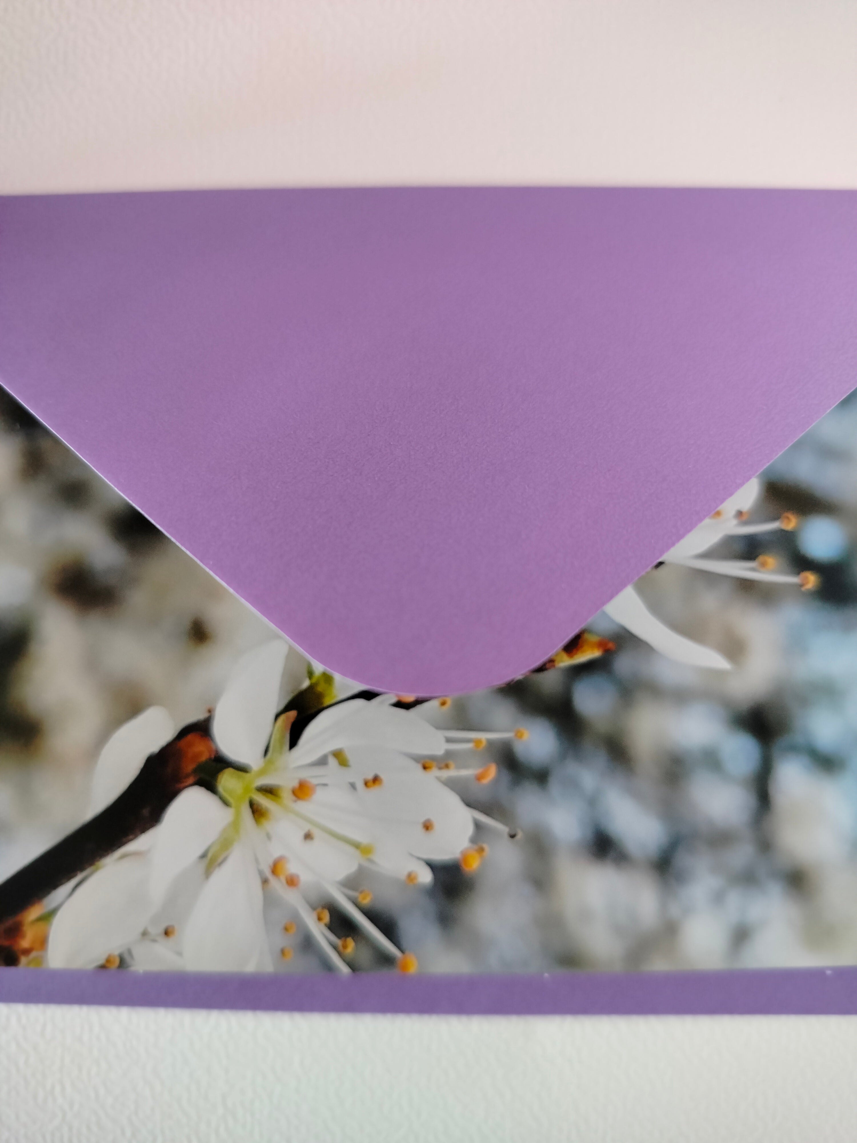 Biglietto auguri fiori di melo