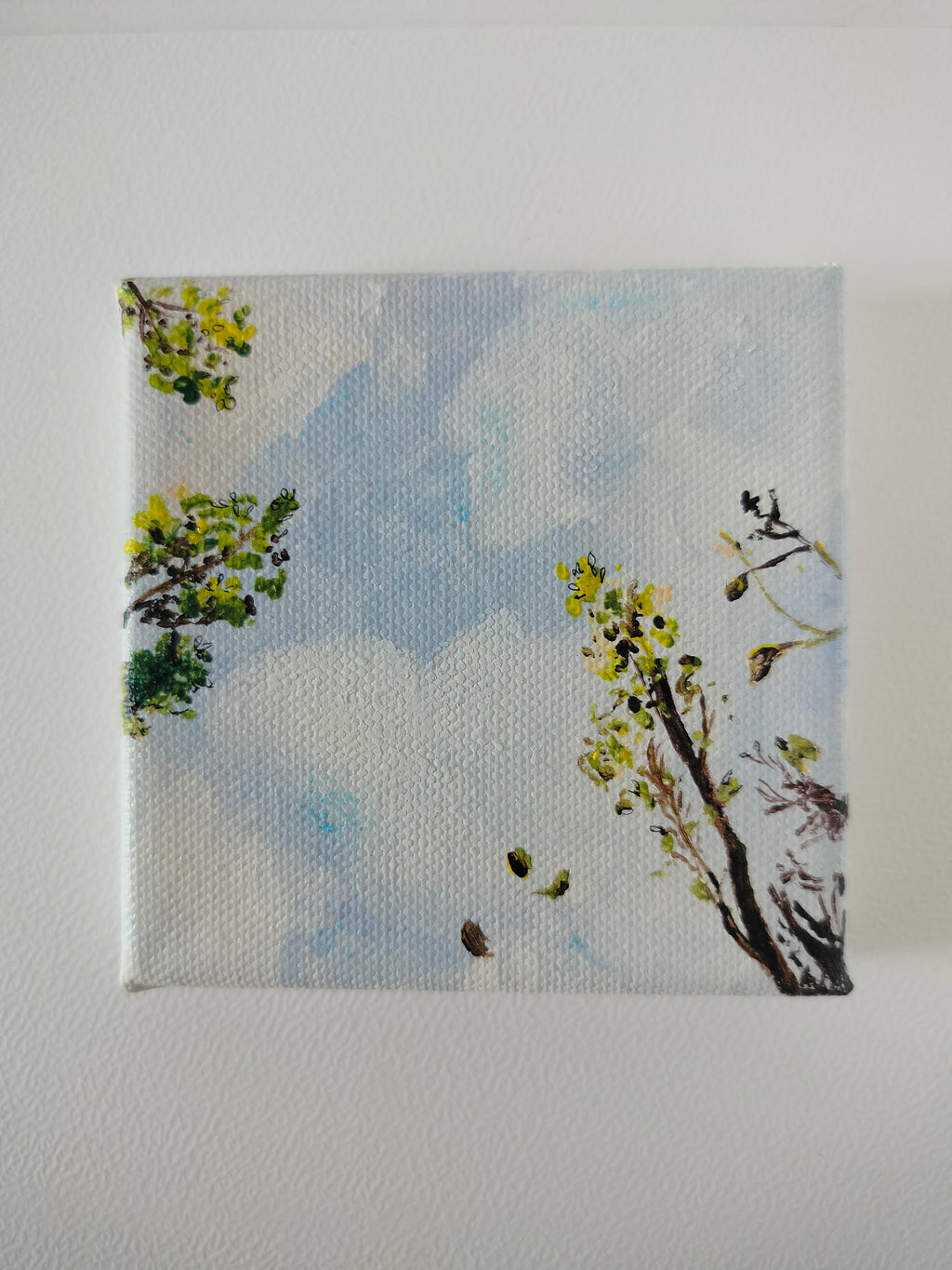 Autunno "Guarda in su"